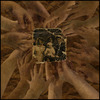 Hands final sm